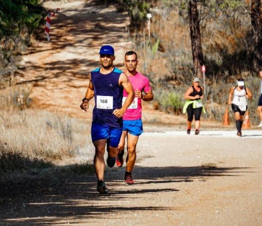 Top Cushioned Shoes for Maximum Comfort